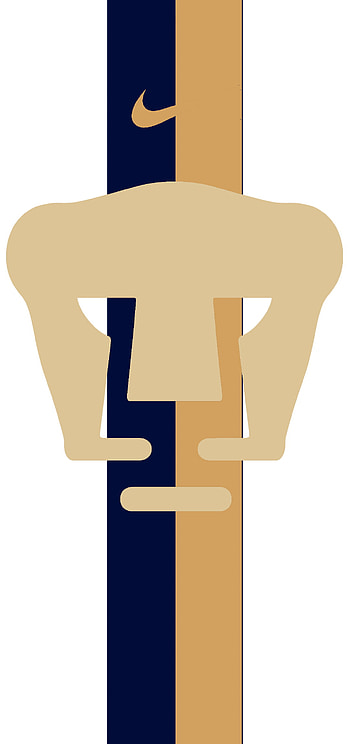 Rayas pumas, Unam HD phone wallpaper