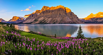 Banff Natonal Park, Canada, beautiful, lake, mountain, wildflowers, national park, reflection, Banff, view HD wallpaper