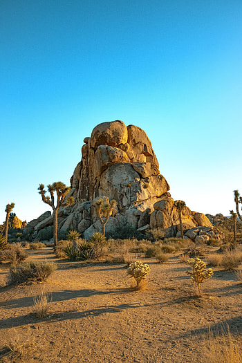 Nature, Trees, Mountains, Sand, Rocks, Prairie HD phone wallpaper