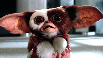 Gizmo, Gremlins HD wallpaper