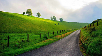 Road-in-Springtime, Road, Nature, Springtime, in HD wallpaper