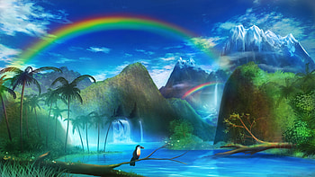 Art, Rainbow, Waterfall, Toucan HD wallpaper