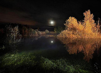 Night, nature HD wallpaper