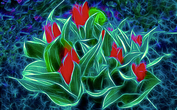 Tulips, fractal HD wallpaper