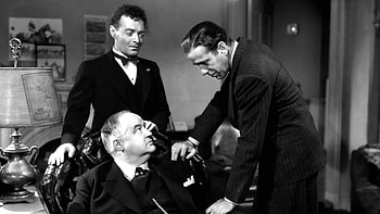 the maltese falcon noir HD wallpaper