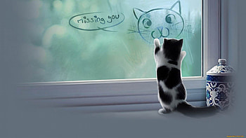 Missing you..., animal, kitten, miss, drawing, cute, cat HD wallpaper