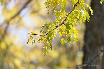 stabilizer, graphy tips, Enhancing , Capturing nature HD wallpaper