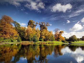 Lake Trees, trees, cool, , lake HD wallpaper