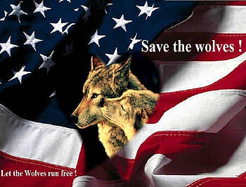 Save The Wolves, dogs, flag, wolves, animals HD wallpaper