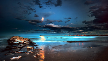 nature night beach moon beach sand HD wallpaper