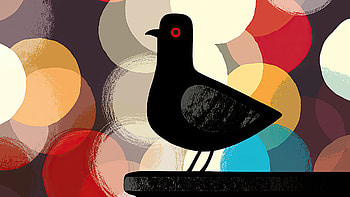 Pigeon Artistic Art, pigeon, artist, artwork, digital-art HD wallpaper