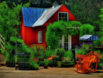 Part of nature, green, house, red, trees, vines, nature, country, forest HD wallpaper