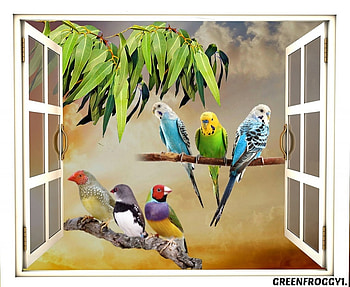 THE BIRDS, ART, BIRDS, ABSTRACT HD wallpaper