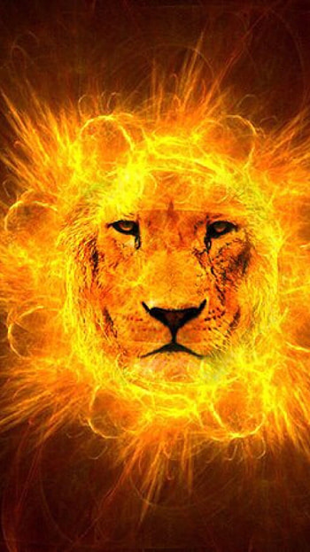 Fire Lion, Glowing, Lion HD phone wallpaper