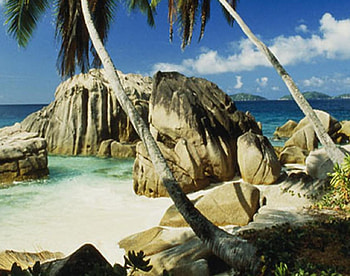 tropical beach, palms, sea, sand, trees, rock, beach HD wallpaper