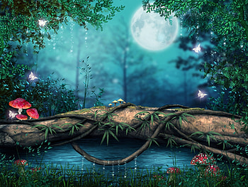 Moonlight, blue, white, mushroom, butterfly, moon, fantasy, green, red, luna, luminos HD wallpaper