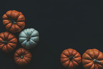 A collection of orange and white pumpkins against a dark backdrop, perfect for autumn themes. HD wallpaper