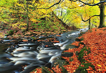 Autumn colors, river, leaves, trees, colors, rocks HD wallpaper