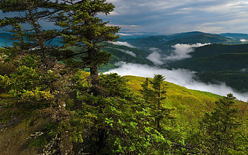 Wilds of West Virginia, sky, hills, fog, trees, clouds, usa HD wallpaper