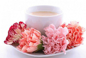 Tea and Carnations, abstact, carnations, setting, flowers, tea cup HD wallpaper