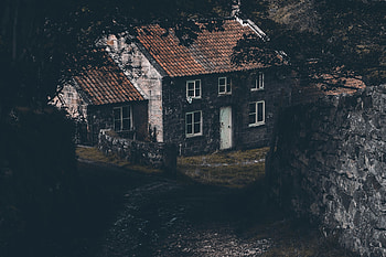 Nature, Forest, Structure, Small House, Lodge, Path, Trail HD wallpaper