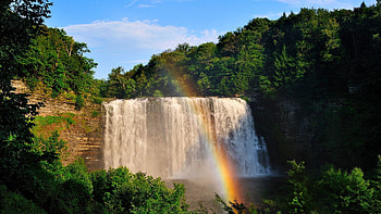 Nature, Trees, Rainbow, Waterfall HD wallpaper