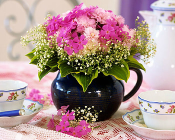 Lovely Flowers, flowers, container, bloom, cup HD wallpaper