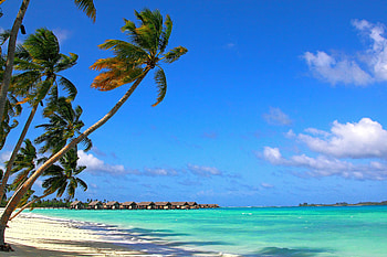 Nature, Beach, Summer, Tropics, Maldives HD wallpaper