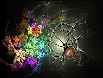 Web, fractal HD wallpaper