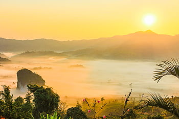 Captivating view of a tropical mountain landscape enveloped in morning mist at sunrise, with vibrant flora. HD wallpaper