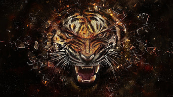 Tiger, muzzle, angry, artwork HD wallpaper