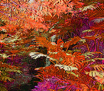 Neon Jungle, colorful, neon, jungle, ferns, foliage HD wallpaper
