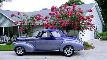 The Wizard, purple, classic cars, autos, cars HD wallpaper