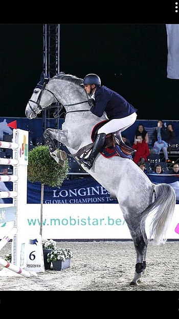 Horse jumping, equitation, cheval, horse_riding, cso, horses, saut_dobstacles HD phone wallpaper
