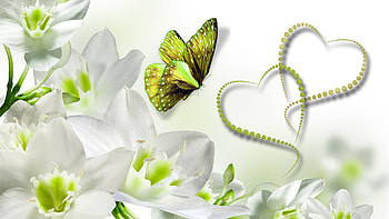 Blissful, white, firefox persona, soft, peaceful, serene, summer, quiet, butterfly, green, hearts, flowers HD wallpaper