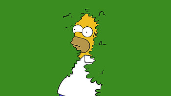 Homer Simpson, animated sitcom, comical situations, lovable dad HD wallpaper