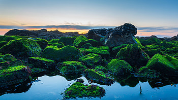 Coast, green rocks, sunset, nature HD wallpaper