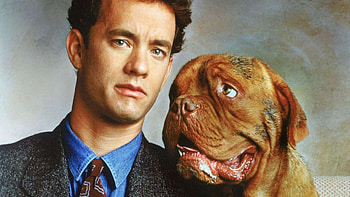 Turner and Hooch (Movies), Backdrops, Turner and Hooch 1989, Classic buddy cop film HD wallpaper