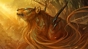 Morning Light, cat, magic, lion, fantasy HD wallpaper