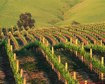 Beautifull California, california, beautifull HD wallpaper