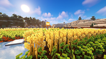 Minecraft : Golden Harvest Under the Bright Sky, Minecraft HD wallpaper