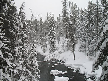Winter River, winter, river, water, snow HD wallpaper