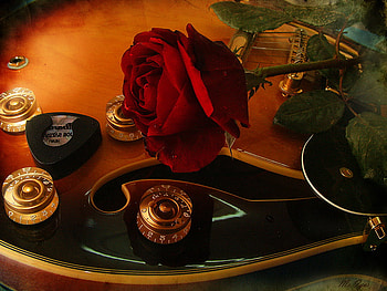 Rose & Guitar for HeartStrings, rose, art , still life, red, guitar, beautiful HD wallpaper