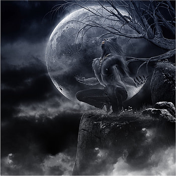 WEREWOLF, NIGHT, MALE, SKY, CLOUDS, MOON HD wallpaper
