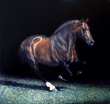 Beautiful Stranger, spanish, andalusian, bay, horses HD wallpaper