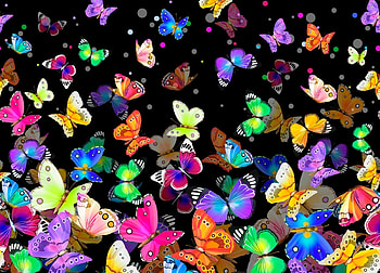 Butterflies, texture, colorful, black, butterfly HD wallpaper