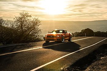 Ford, Mustang, Cars, Ford Mustang, 2015 HD wallpaper