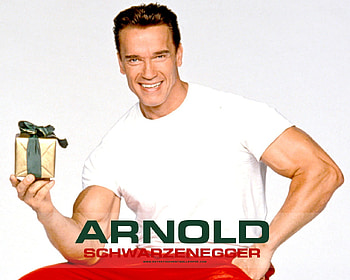 Arnold Schwarzenegger, actor, movies, hollywood, arnold HD wallpaper