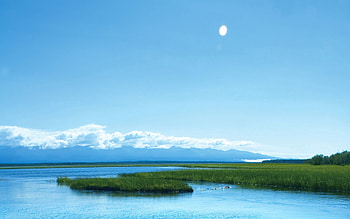 Nature, Rivers, Grass, Sky HD wallpaper