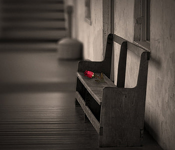 Solitary Rose, rose, flower, black and white, vintage, solitude HD wallpaper